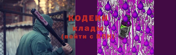 индика Вязники