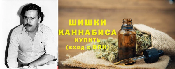 прущие крисы Вяземский