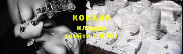 прущие крисы Вяземский