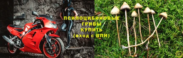 соль курить ск Волосово