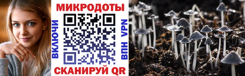 Купить закладки  Катав-Ивановск  Галлюциногенные грибы Cubensis 